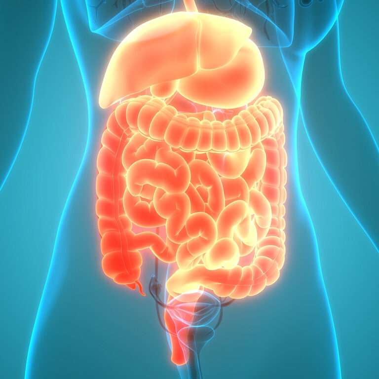 Why Gut Health is the Key to Your Wellbeing